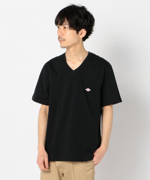 GLOSTER(GLOSTER)/【DANTON/ダントン】VネックTシャツ #JD－9213/ブラック