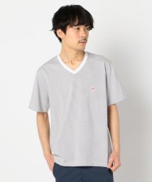 GLOSTER(GLOSTER)/【DANTON/ダントン】VネックTシャツ #JD－9213/ブラック・グレー系3