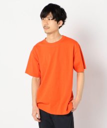GLOSTER(GLOSTER)/【newhattan　/ ニューハッタン】ベーシックTシャツ 半袖 HB001－326/オレンジ