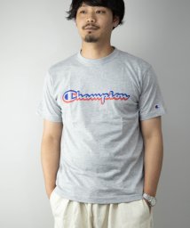 Nylaus(ナイラス)/Champion C3－RS307 C VAPOR ロゴプリント 半袖 Tシャツ/その他