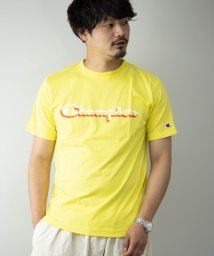 Nylaus(ナイラス)/Champion C3－RS307 C VAPOR ロゴプリント 半袖 Tシャツ/その他系1