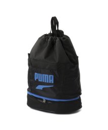 PUMA(PUMA)/キッズ プーマ 2 ルーム スイムバッグ 3.5L/PUMABLACK-PUMAROYAL