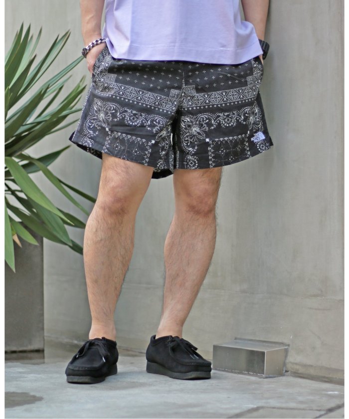 novelty board shorts