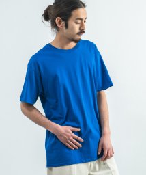 Rocky Monroe(ロッキーモンロー)/Tシャツ メンズ レディース 半袖 無地 白 黒 ゆったり 丸首 クルーネック カジュアル 春夏 カップル ペア お揃い FRUIT OF THE LOOM フ/ブルー