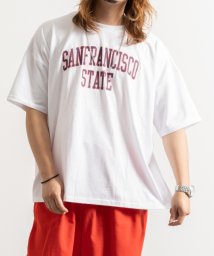 Nylaus(ナイラス)/ネックレス付き カレッジロゴプリント 半袖ルーズTシャツ/ホワイト