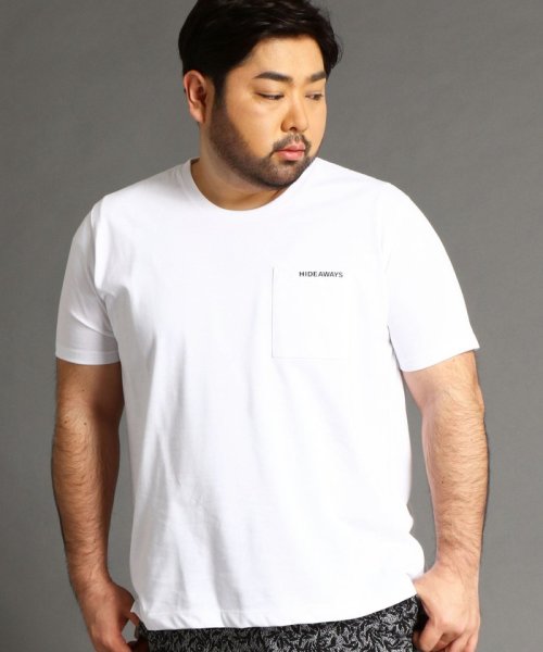 HIDEAWAYS NICOLE L(ハイダウェイニコル（大きいサイズ）)/＜大きいサイズ＞ロゴプリントTシャツ/09ホワイト