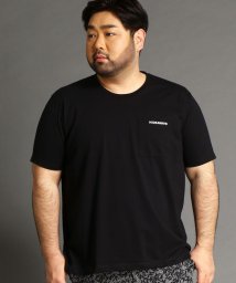 HIDEAWAYS NICOLE L(ハイダウェイニコル（大きいサイズ）)/＜大きいサイズ＞ロゴプリントTシャツ/49ブラック