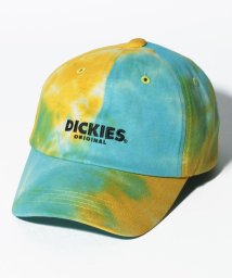 Dickies(Dickies)/DK TIE DYE CAP/ｸﾞﾘｰﾝ