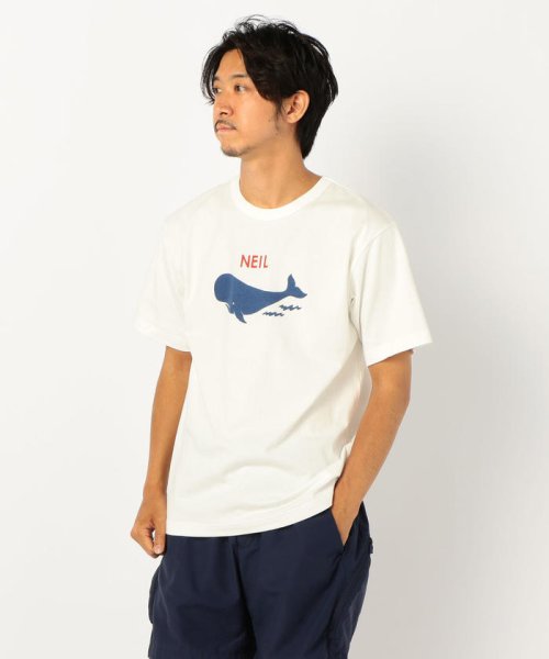 GLOSTER(GLOSTER)/サマープリント Tシャツ [GLOSTER LOAD]/ホワイト系5