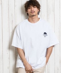 CavariA(キャバリア)/CavariA【キャバリア】インディゴアップリケビッグTシャツ/ホワイト