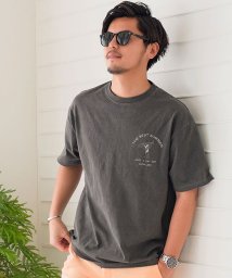 CavariA(キャバリア)/CavariA【キャバリア】デザインピグメントプリントTシャツ/ブラック