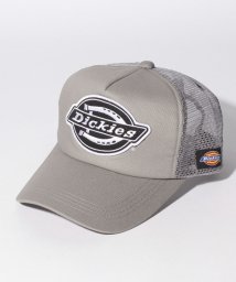 Dickies(Dickies)/Dickies Standard MeshCap/M･ｸﾞﾚｰ