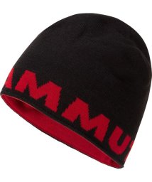 MAMMUT(マムート)/MAMMUT LOGO BEANIE/ブラック