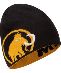 MAMMUT(マムート)/MAMMUT LOGO BEANIE/ブラック系1