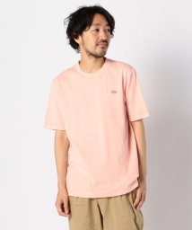 NOLLEY’S goodman(ノーリーズグッドマン)/【LACOSTE/ラコステ】ボディーサイズピグメントTシャツ (TH651EL)/ピンク