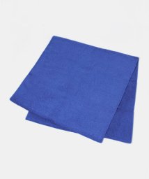 URBAN RESEARCH(アーバンリサーチ)/HIPPOPOTAMUS　BC BLEND Bath towel/BLUE