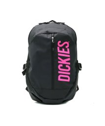 Dickies(Dickies)/ディッキーズ リュック Dickies バックパック PVC CENTER ZIP BACKPACK リュックサック 22L A4 14594600/ブラック系1