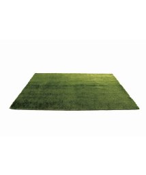 BRID/GRASS RUG 90×130             /503357143