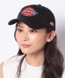 Dickies(Dickies)/相良刺繍 LOW CAP/ﾌﾞﾗｯｸ