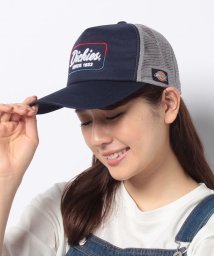 Dickies(Dickies)/3D EMB MESH CAP/ﾈｲﾋﾞｰ