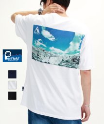 PENFIELD(PENFIELD)/【ＰＥＮＦＩＥＬＤ】 ペンフィールド バックメッシュ ワイドシルエット  半袖 Tシャツ ユニセックス/ホワイト