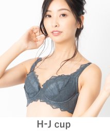 fran de lingerie(フランデランジェリー)/【らくらく補正】 Elize エリーゼ コーディネートブラジャー H65－J90カップ/グレー