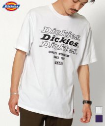 Dickies(Dickies)/【Ｄickies】 ディッキーズ グラッフィックプリント 半袖　Tシャツ ユニセックス/ホワイト