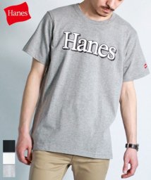 Amerikaya(Amerikaya)/【Hanes】 ヘインズ  プリント 半袖 Tシャツ ユニセックス/グレイ