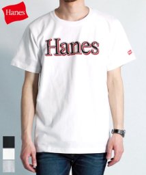 Amerikaya(Amerikaya)/【Hanes】 ヘインズ  プリント 半袖 Tシャツ ユニセックス/ホワイト