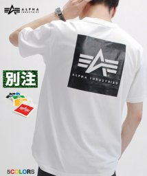 ALPHA INDUSTRIES(アルファインダストリーズ)/【別注】【ALPHA】アルファ バックロゴ ストリート半袖 Tシャツ/ブラック