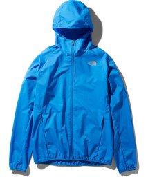 THE NORTH FACE(ザノースフェイス)/SWALLOWTAIL VT HD/その他