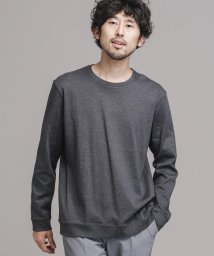 nano・universe(ナノ・ユニバース)/《WEB限定》FORMAL JERSEYクルーネックカットソー長袖/Dグレー2