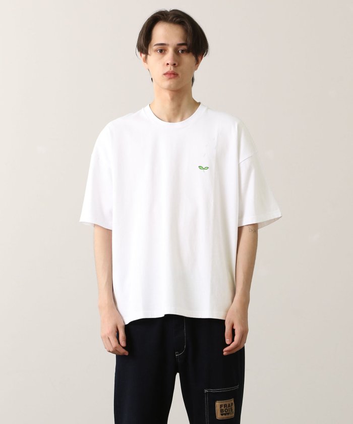 セール スプラウトｔ フラボア Frapbois Magaseek