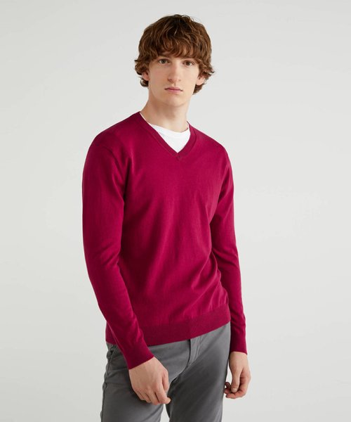 BENETTON (mens)(ベネトン（メンズ）)/ストレッチコットンVネックニット・セーター/パープル