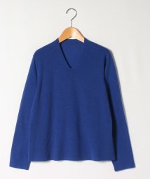 LAPINE ROUGE(ラピーヌ　ルージュ)/【大きいサイズ】16G Vネックセーター/ブルー