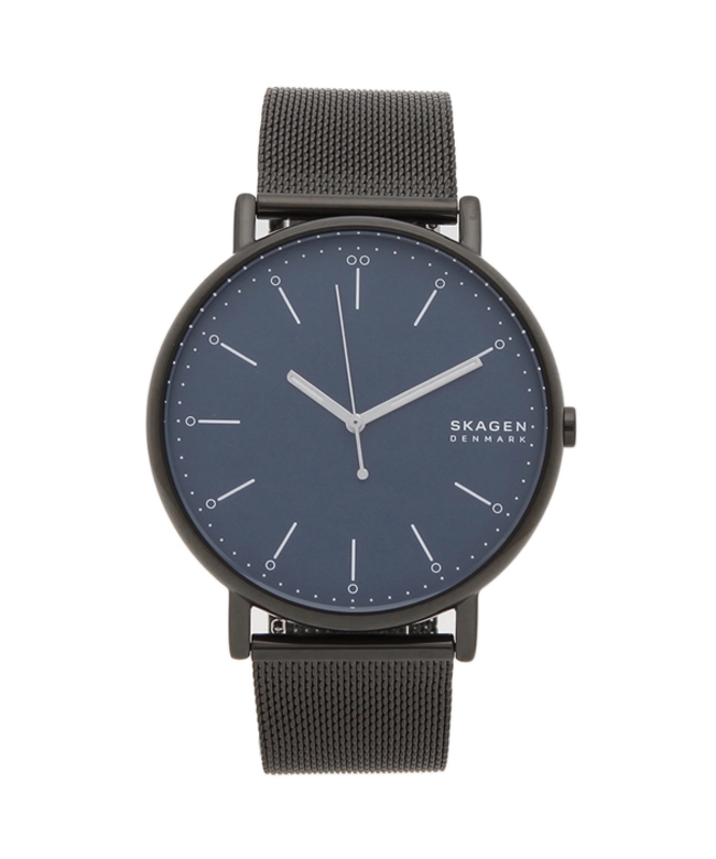 SKAGEN 値下げしました！｜腕時計(アナログ)