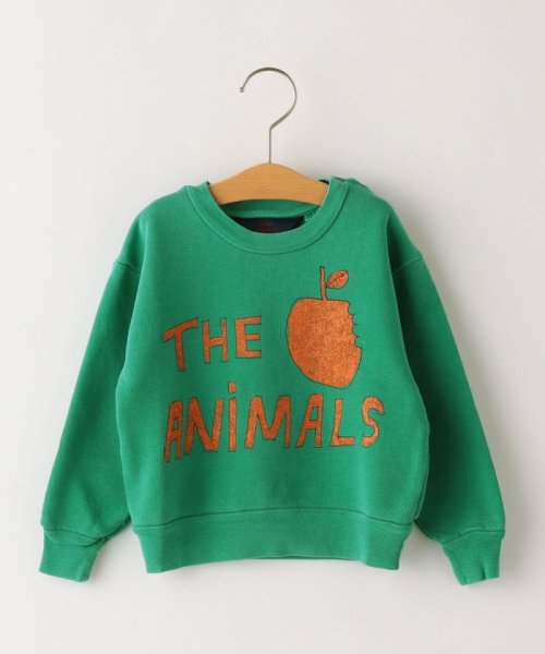 SHIPS KIDS(シップスキッズ)/The Animals Observatory:Baby Bear&Dog Sweater(90cm)/グリーン
