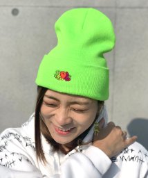 FRUIT OF THE LOOM(フルーツオブザルーム)/SIMPLE KNIT CAP/ﾐﾝﾄ