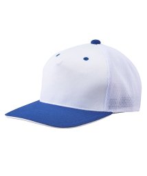 DESCENTE(デサント)/【BASEBALL】フロントパネルキャップ/ホワイト×ロイヤルブルー