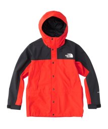 THE NORTH FACE(ザノースフェイス)/MOUNTAIN LIGHT JK/その他系1