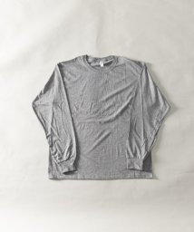 Nylaus(ナイラス)/JERZEEZ クルーネック ロングスリーブ Tシャツ/その他