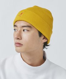 KANGOL(KANGOL)/KANGOL Acrylic Cuff Pull－On/ゴールド