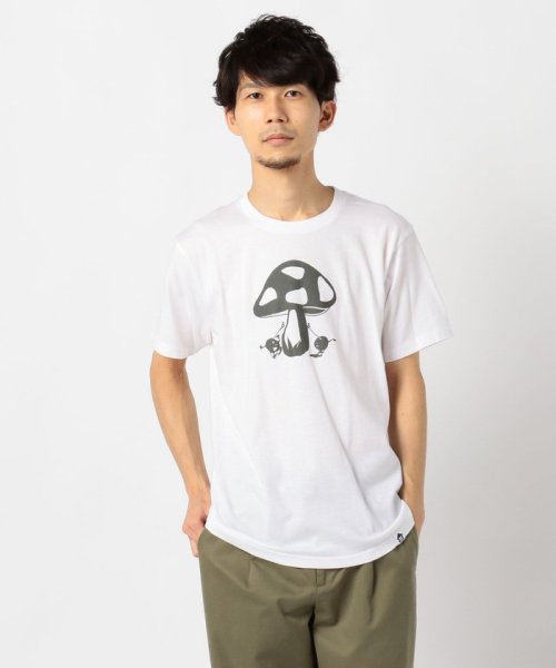 FREDYMAC(フレディマック)/KINOKOちゃん RETURN Tシャツ/ホワイト