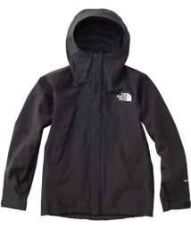 THE NORTH FACE(ザノースフェイス)/MOUNTAIN JACKET/ブラック