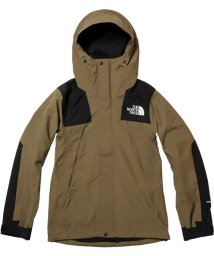 THE NORTH FACE(ザノースフェイス)/MOUNTAIN JACKET/その他