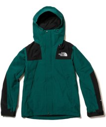 THE NORTH FACE(ザノースフェイス)/MOUNTAIN JACKET/その他系1