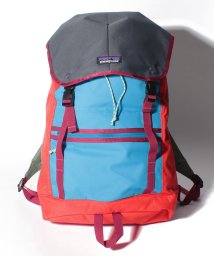 patagonia(パタゴニア)/【Patagonia】パタゴニア　Arbor Classic Pack　47958　バックパック/ネイビーレッド