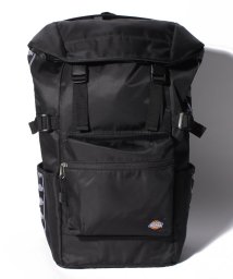 Dickies(Dickies)/SIDE LINE FLAP BACKPACK/ﾌﾞﾗｯｸ