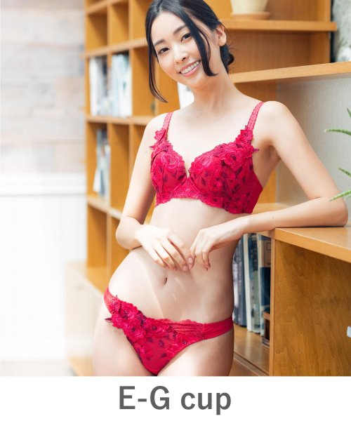 fran de lingerie(フランデランジェリー)/GRACE Grande らくらく補正グレースグランデ コーディネートブラジャー E65－G90カップ/その他