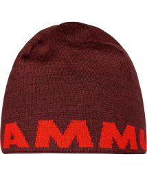 MAMMUT(マムート)/MAMMUT LOGO BEANIE/その他系4